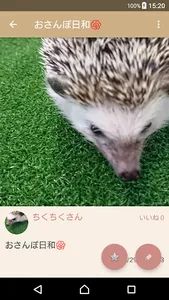 ハリネズミSNSちくちく screenshot 1