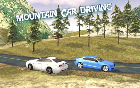 Advance Car Driving: Car Games screenshot 13