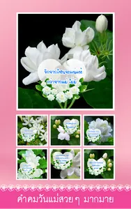 คำคมวันแม่ อวยพรวันแม่ screenshot 4