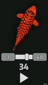 Koi Puzzle screenshot 8