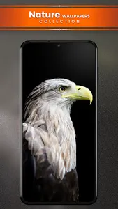 Nature Wallpapers HD screenshot 3