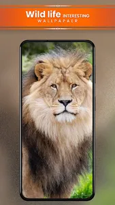 Nature Wallpapers HD screenshot 5