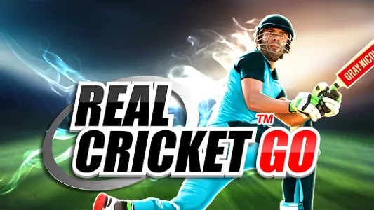 Real Cricket™ GO screenshot 12