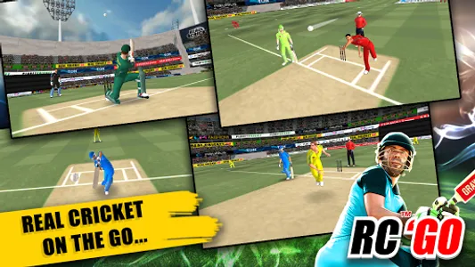 Real Cricket™ GO screenshot 14