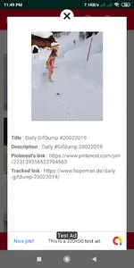 Downloader for Pinterest - Pin screenshot 4