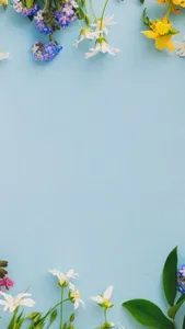 Neboo Wallpaper screenshot 2