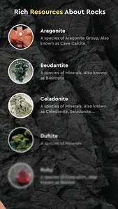 Rock Identifier by Photo screenshot 11