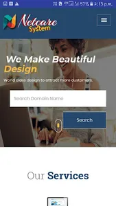 Netcare System - Web Design &  screenshot 1