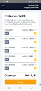 Netfone Ügyfélkapu screenshot 23