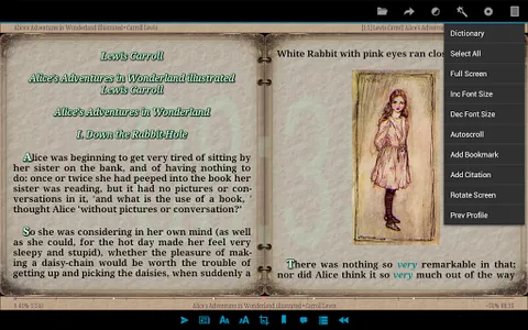 AlReader -any text book reader screenshot 22