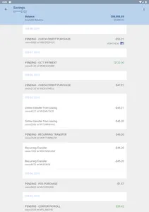 New Alliance FCU screenshot 13