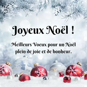 Joyeux Noël screenshot 3