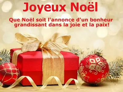 Joyeux Noël screenshot 8
