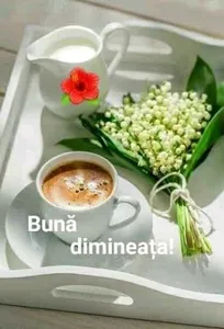 MESAJE DE BUNĂ DIMINEAȚA 2023 screenshot 11