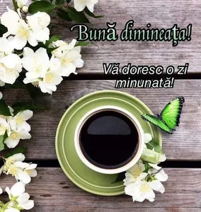 MESAJE DE BUNĂ DIMINEAȚA 2023 screenshot 16