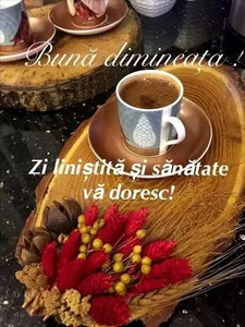 MESAJE DE BUNĂ DIMINEAȚA 2023 screenshot 17