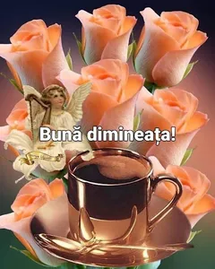 MESAJE DE BUNĂ DIMINEAȚA 2023 screenshot 9