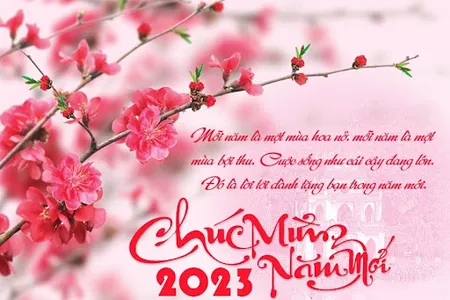 Chúc Mừng Năm Mới 2023 screenshot 8