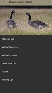 Waterfowl Calls screenshot 15