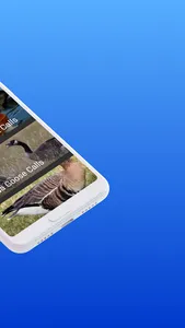 Waterfowl Calls screenshot 17