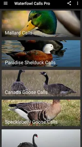 Waterfowl Calls screenshot 19