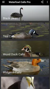 Waterfowl Calls screenshot 20