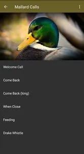 Waterfowl Calls screenshot 21