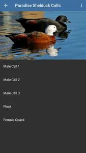 Waterfowl Calls screenshot 22