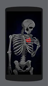 هياكل عظمية - 2021 Skeletons w screenshot 6