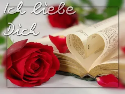 Ich Liebe Dich Bilder screenshot 7