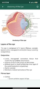 Human Anatomy screenshot 3