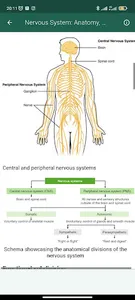 Human Anatomy screenshot 5