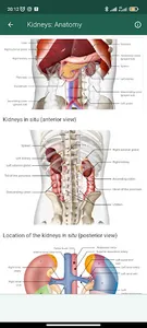 Human Anatomy screenshot 6