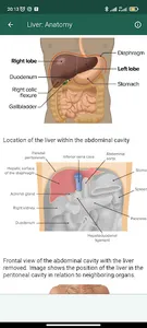 Human Anatomy screenshot 7