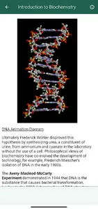 Medical Biochemistry screenshot 12