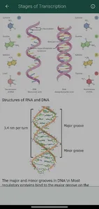 Medical Biochemistry screenshot 7