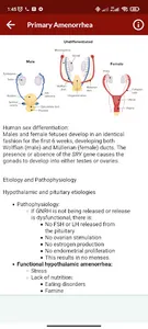Gynecology screenshot 6