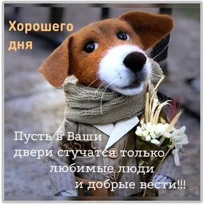 Доброе утро Хорошего дня screenshot 11