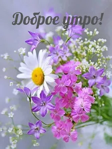 Доброе утро Хорошего дня screenshot 12