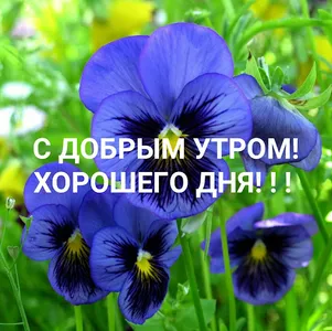 Доброе утро Хорошего дня screenshot 8