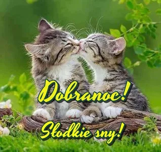 Dobranoc! screenshot 10