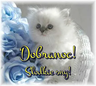 Dobranoc! screenshot 12