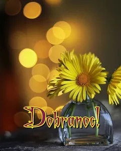Dobranoc! screenshot 14