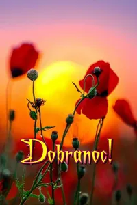 Dobranoc! screenshot 17