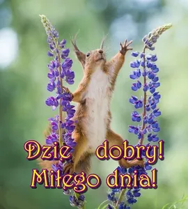 Dzień dobry Miłego dnia! screenshot 9