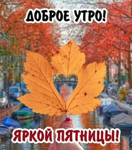 Доброе утро на каждый день screenshot 11