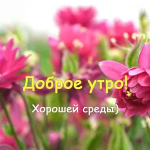 Доброе утро на каждый день screenshot 2