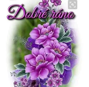 DOBRE RANO screenshot 7