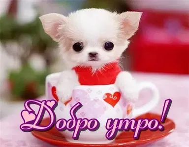 Добро утро screenshot 8