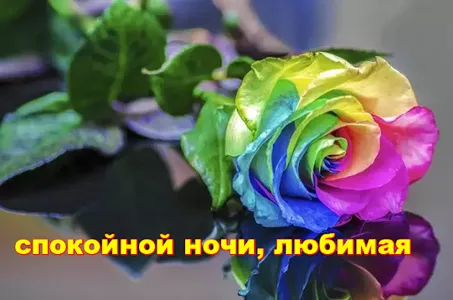 спокойной ночи screenshot 0